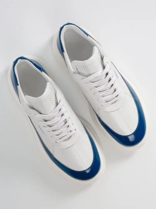 Showman - Sea Blue
